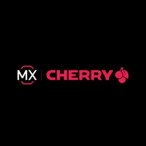 Cherry MX switches blog graphic.