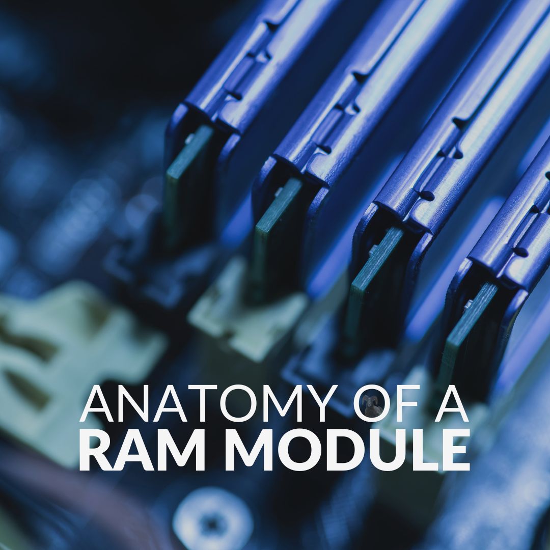 ANATOMY OF A RAM MODULE – EVERYTHING YOU NEED TO KNOW blog image