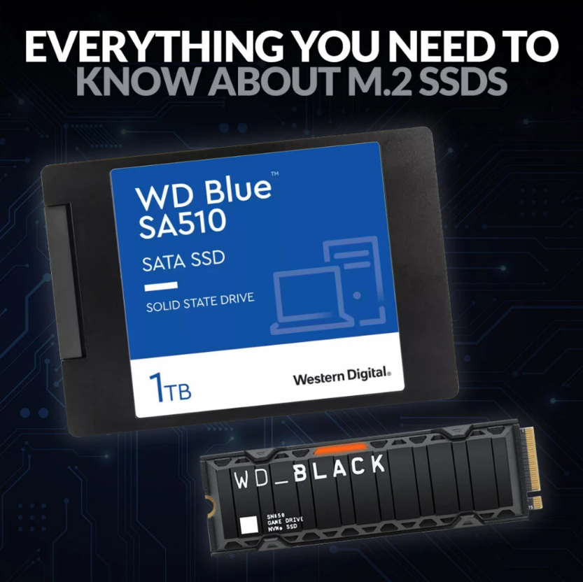 Everything You Need to Know about M.2 SSDs