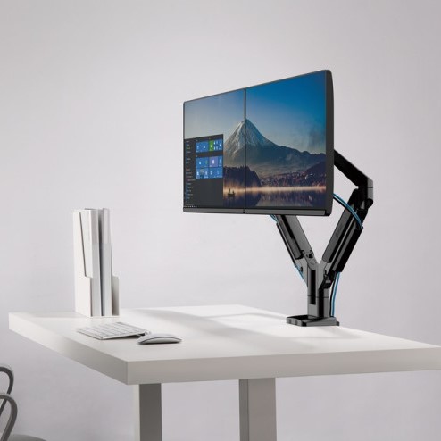 Dual monitor set-up