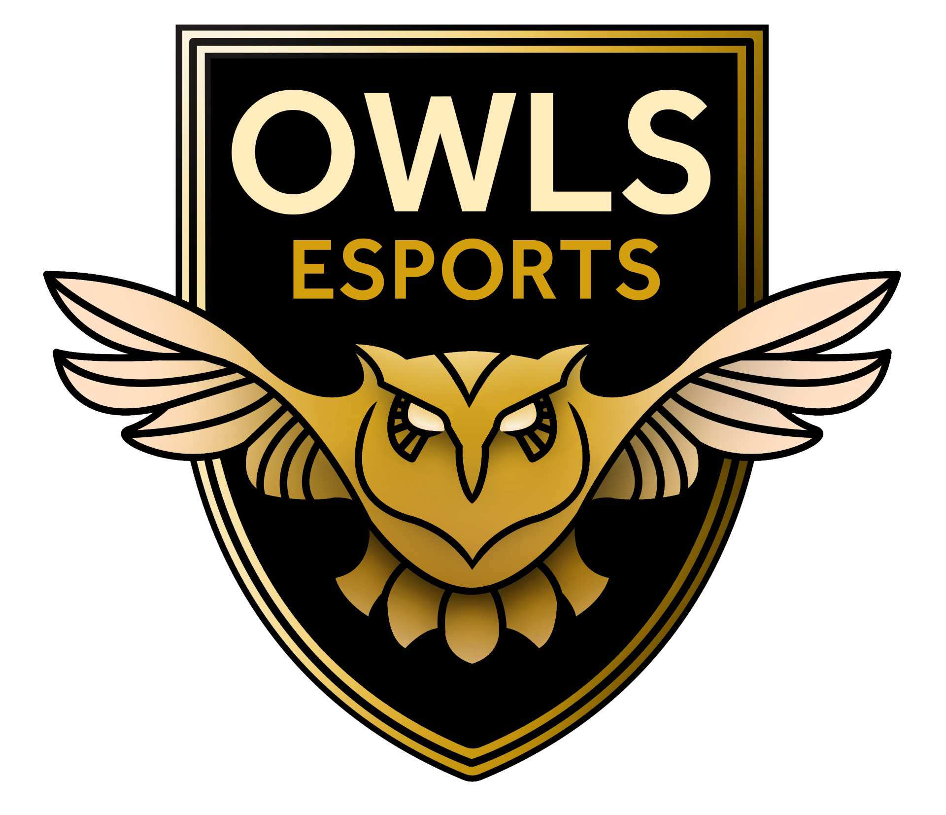 SW Owls Esports Team Logo