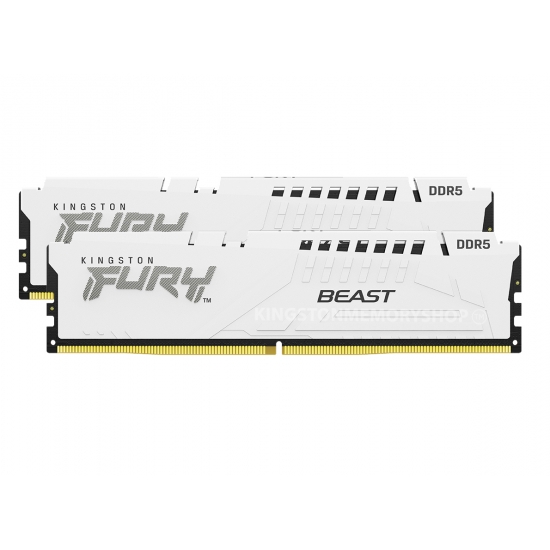 Kingston FURY Beast EXPO 32GB (2x16GB) DDR5 P3C5-44800C6 5600MHz Dual Channel Kit - White