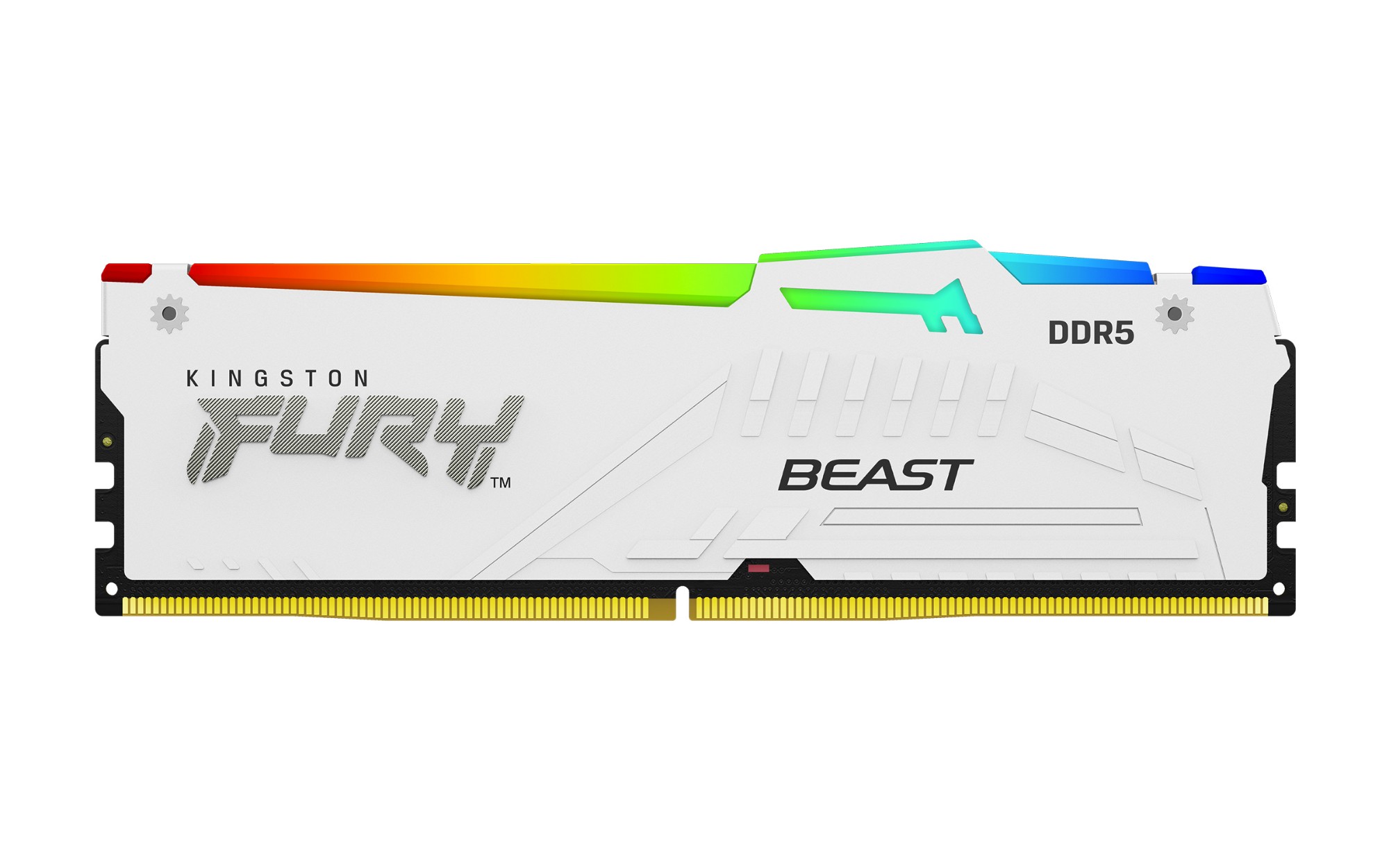 Kingston - Kingston FURY Beast EXPO 32GB (2x16GB) DDR5 PC5-48000C36 5600MHz Dual Channel Ki