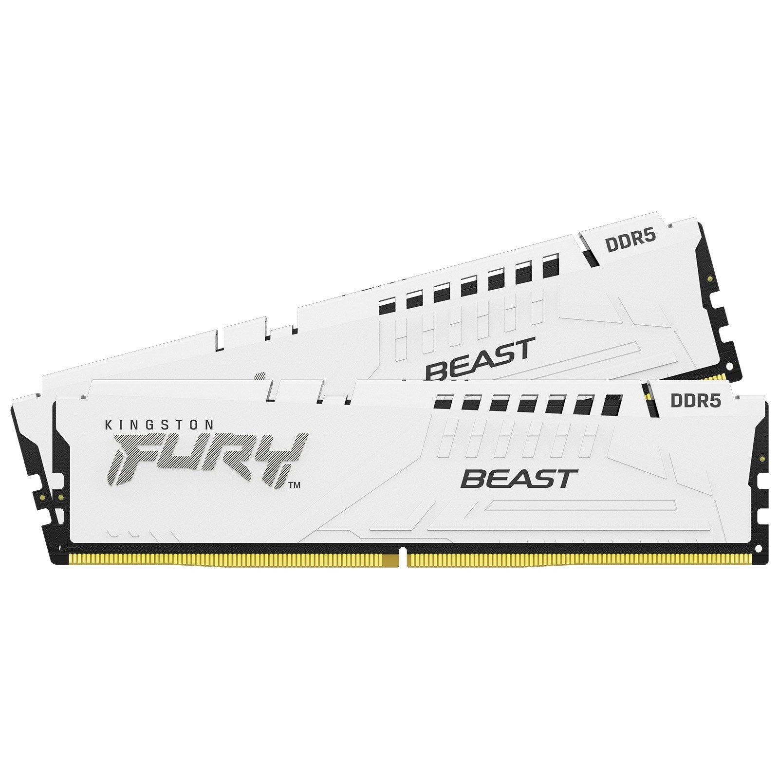 Kingston - Kingston FURY Beast EXPO 32GB (2x16GB) DDR5 PC5-48000C36 6000MHz Dual Channel Kit - White