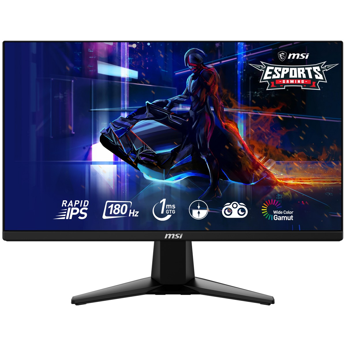 MSI 25