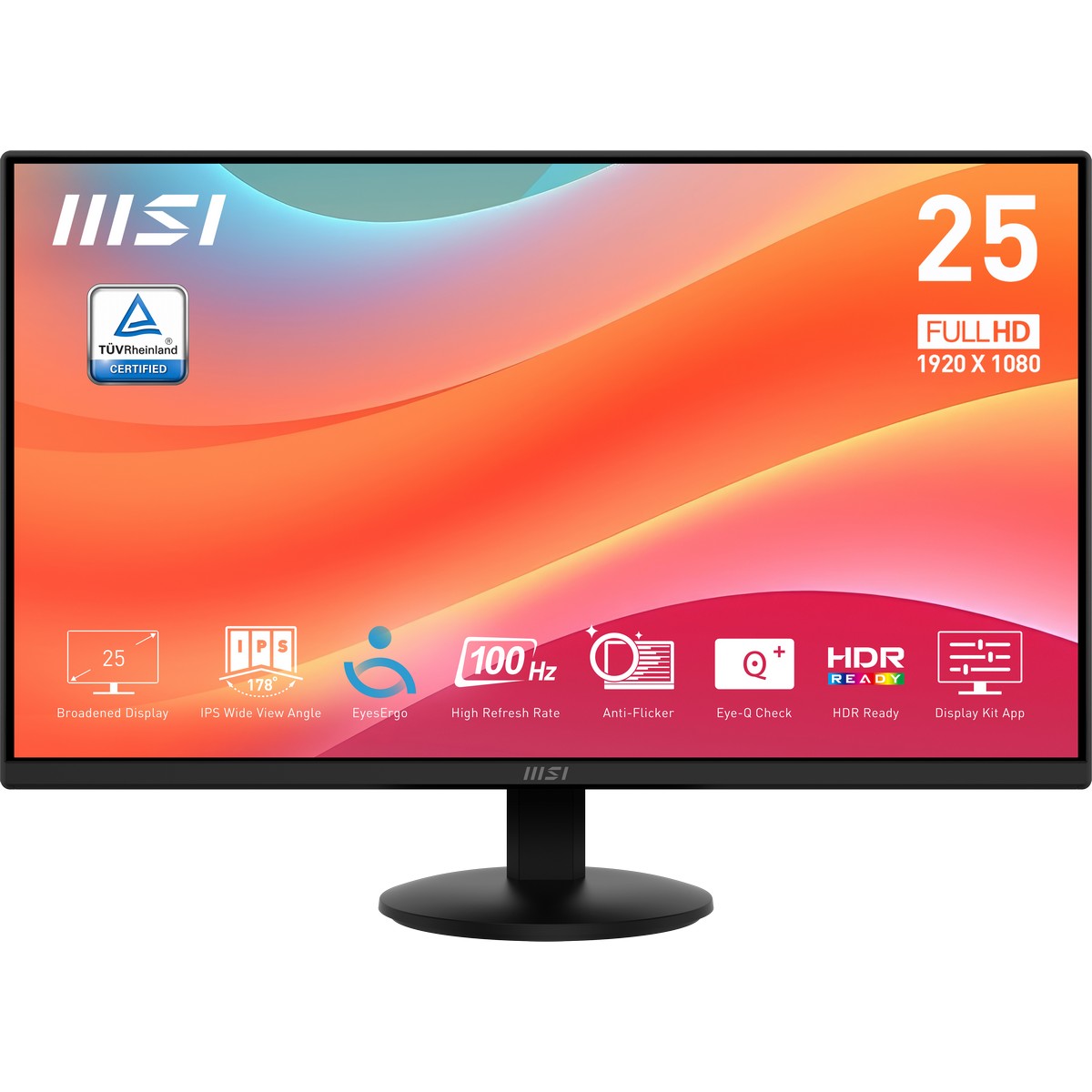 MSI 25" PRO MP252L 1920x1080 IPS 100Hz Flat Monitor - Black