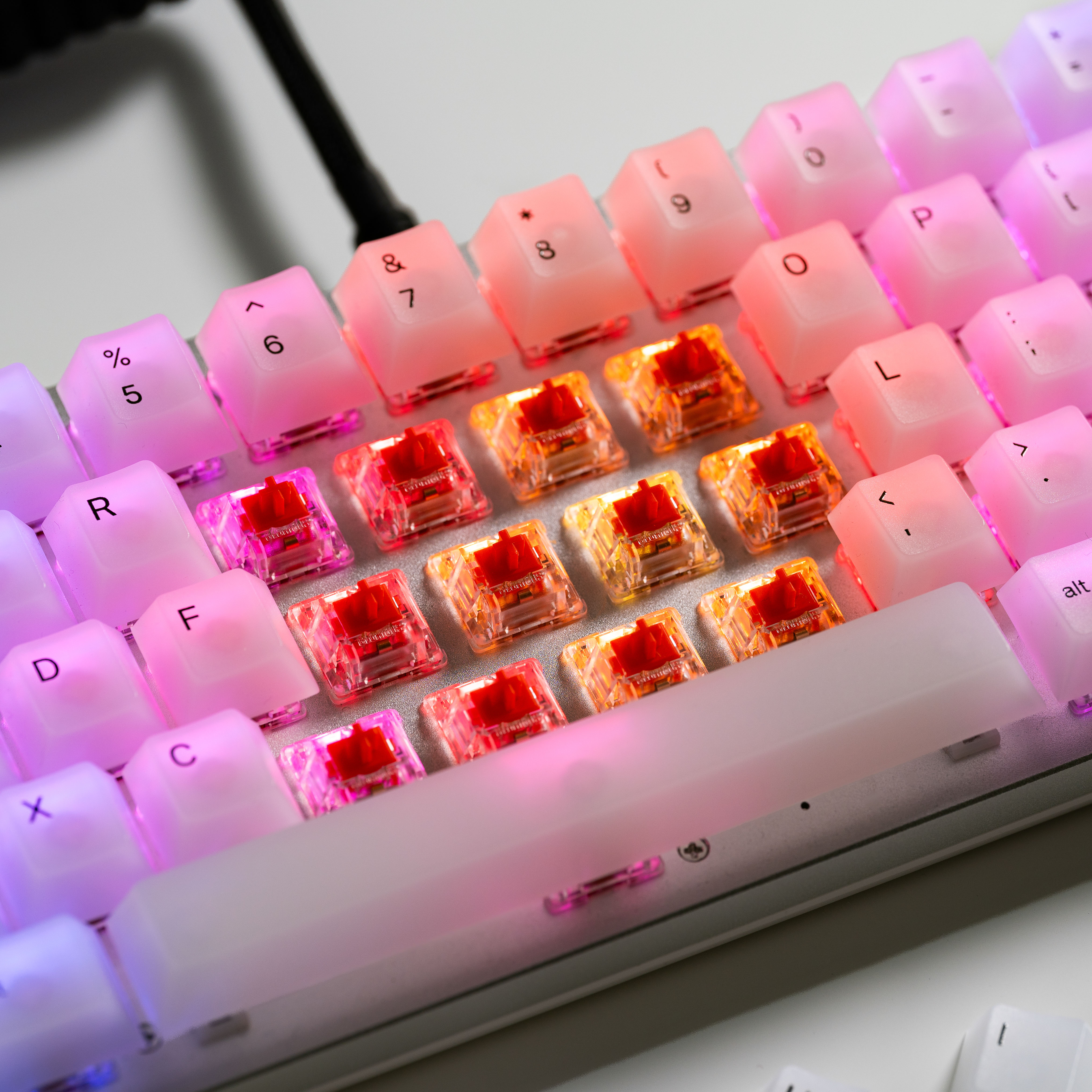 Glorious - Glorious Fox Mechanical Switches Lubed - 110 Pieces (GLO-KB-ACC-SWT-FOX-LUBED-110)