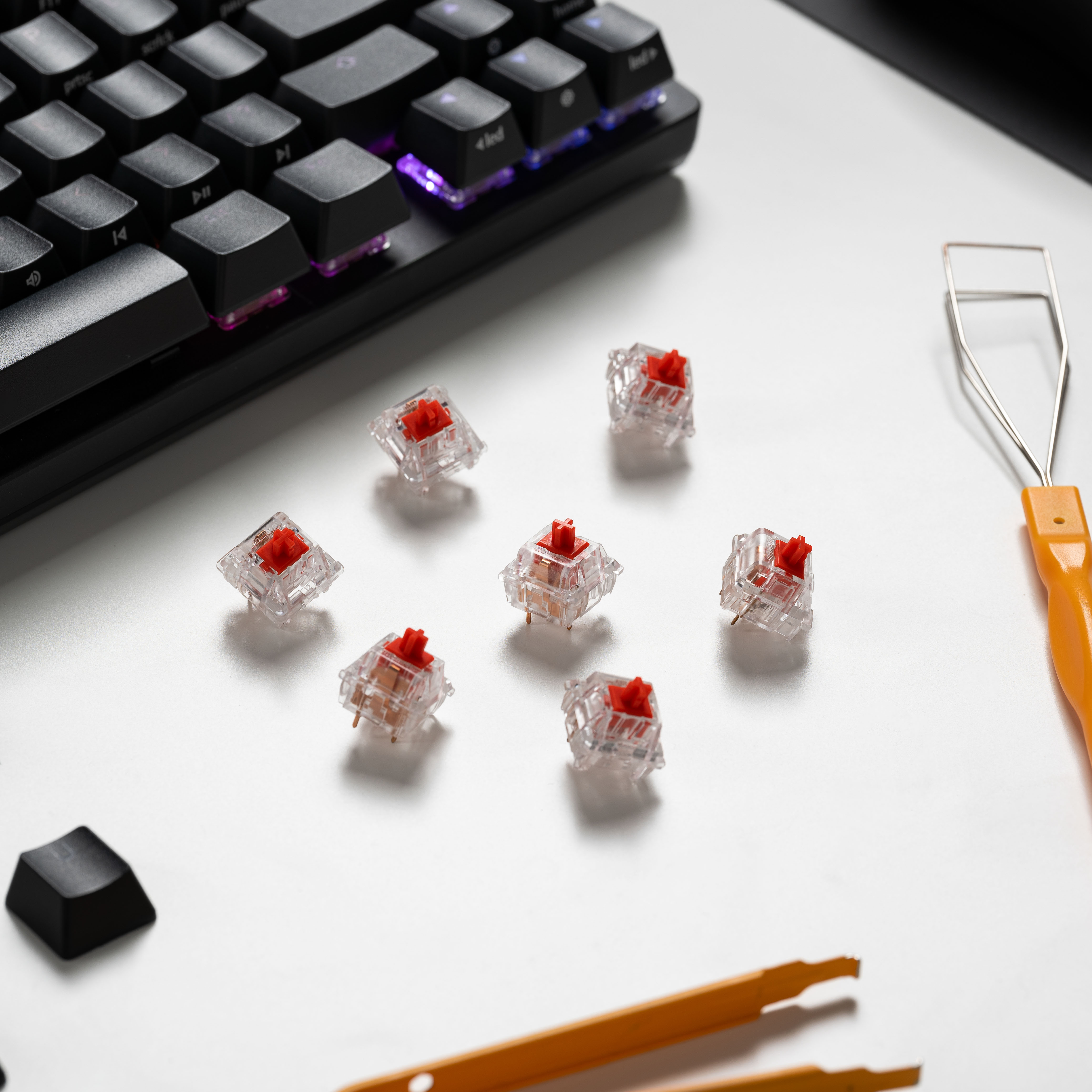 Glorious - Glorious Fox Mechanical Switches Lubed - 110 Pieces (GLO-KB-ACC-SWT-FOX-LUBED-110)