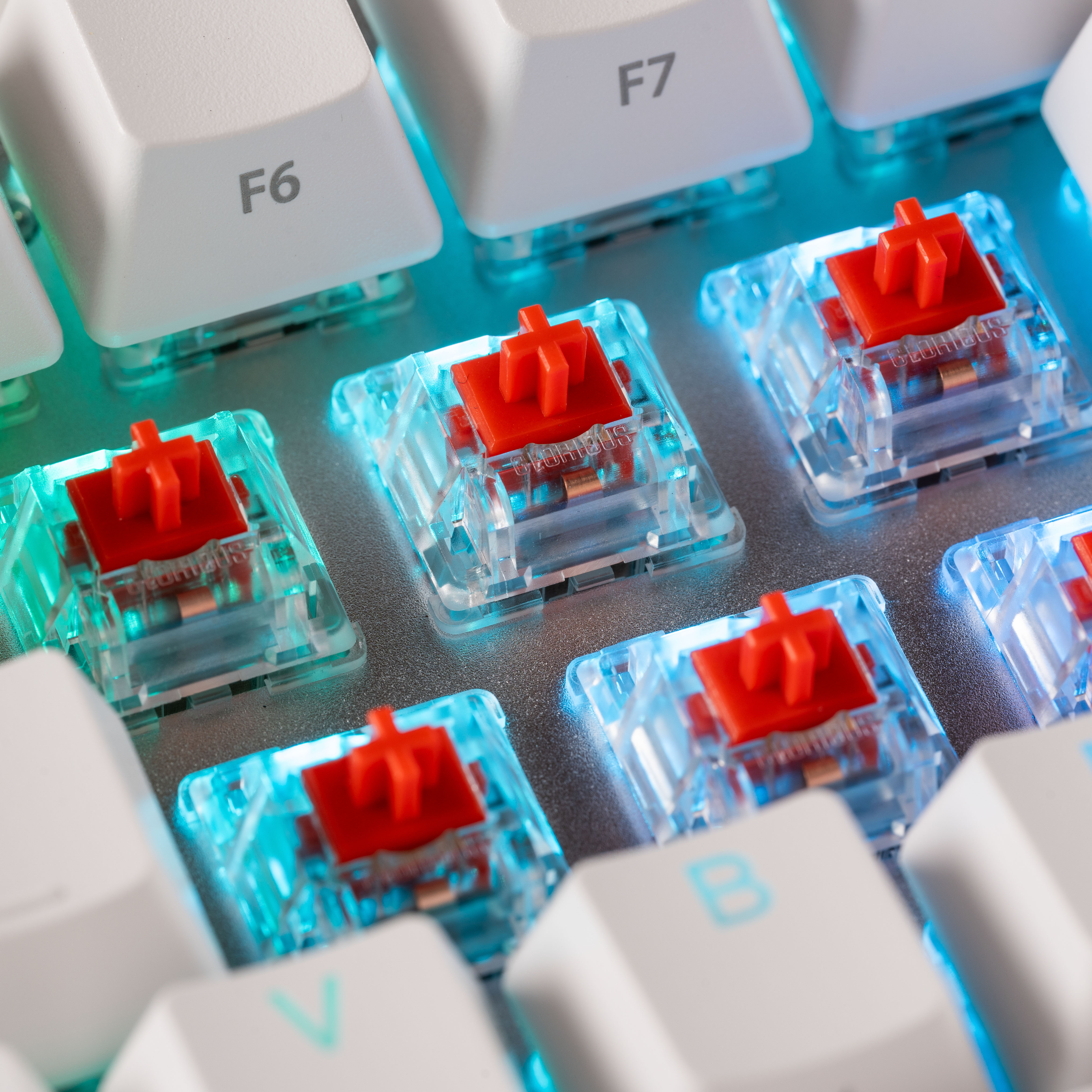 Glorious - Glorious Fox Mechanical Switches Lubed - 110 Pieces (GLO-KB-ACC-SWT-FOX-LUBED-110)