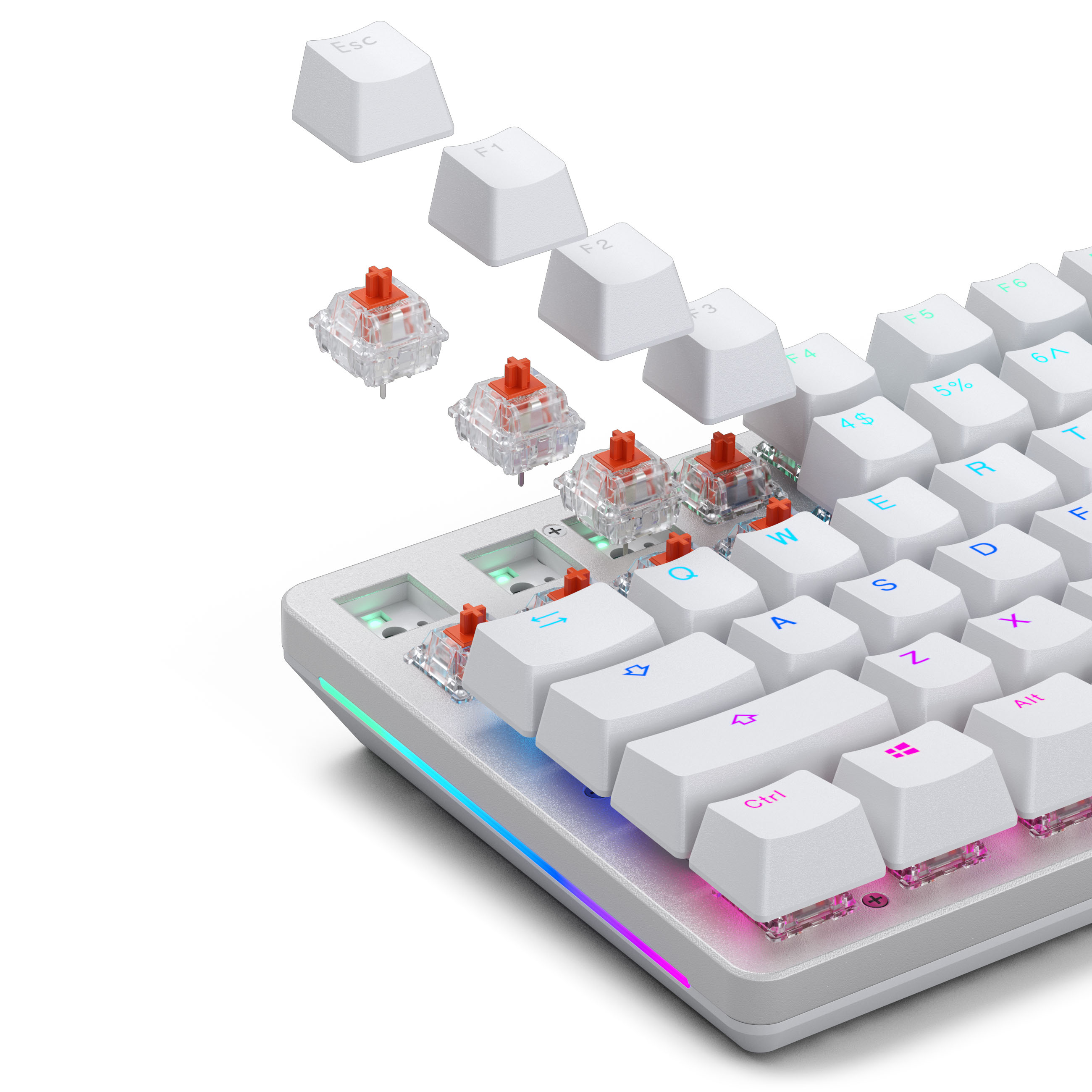 Glorious - Glorious Fox Mechanical Switches Lubed - 110 Pieces (GLO-KB-ACC-SWT-FOX-LUBED-110)