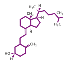 Vitamin D Molecule
