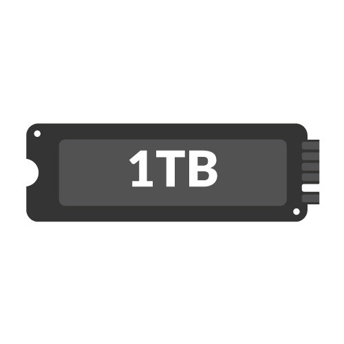 1TB M.2 NVMe SSDs