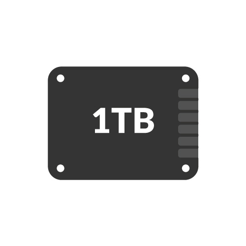 1TB SSDs