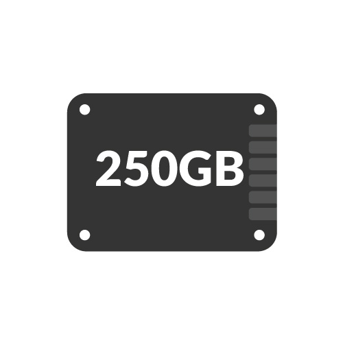 250GB 2.5 Inch SSDs