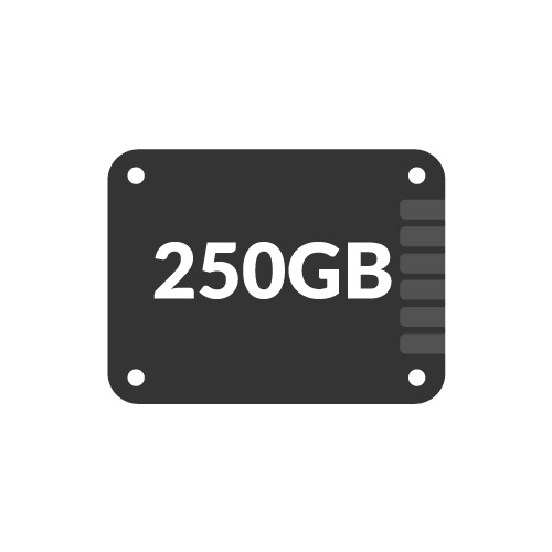 250GB SSDs