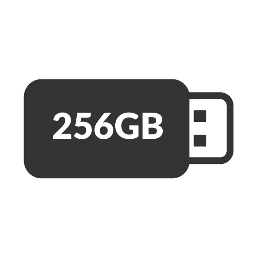 256GB USB Flash Drives