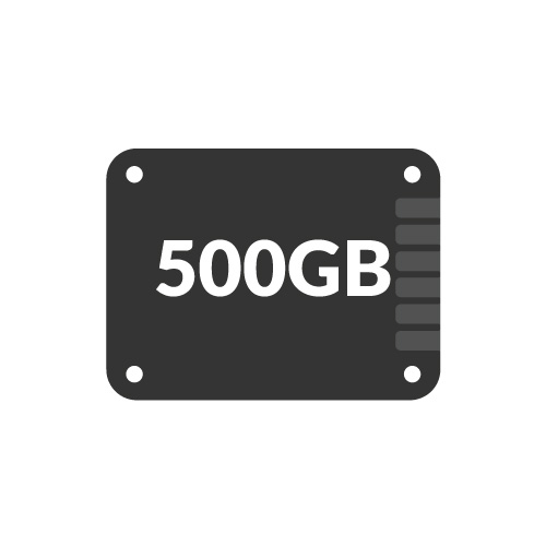 500GB 2.5 Inch SSDs