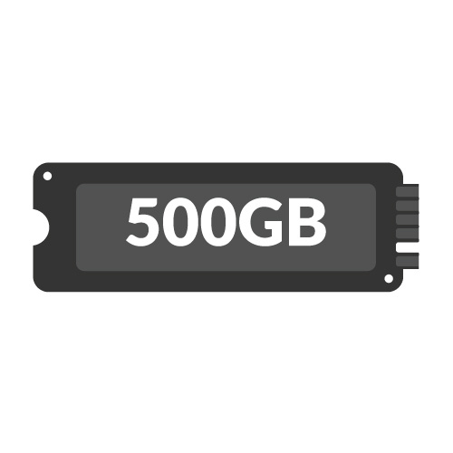 500GB M.2 NVMe SSDs