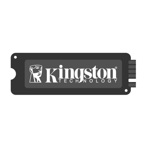 Kingston NVMe SSDs