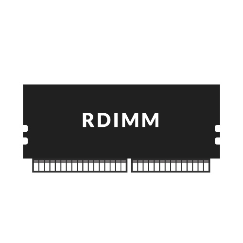 Picture of RDIMM RAM