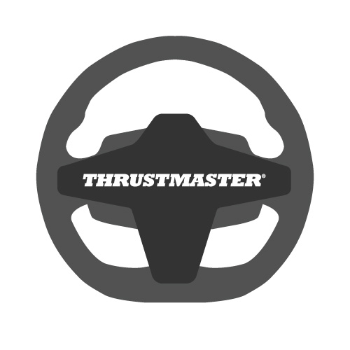 Thrustmaster Racing Wheels
