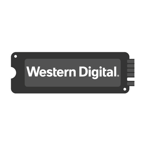 WD NVMe SSDs