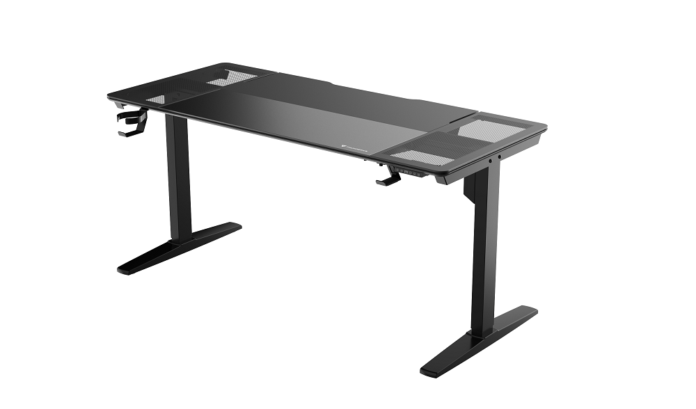 ThunderX3 LAB-X Height Adjustable Electric Desk